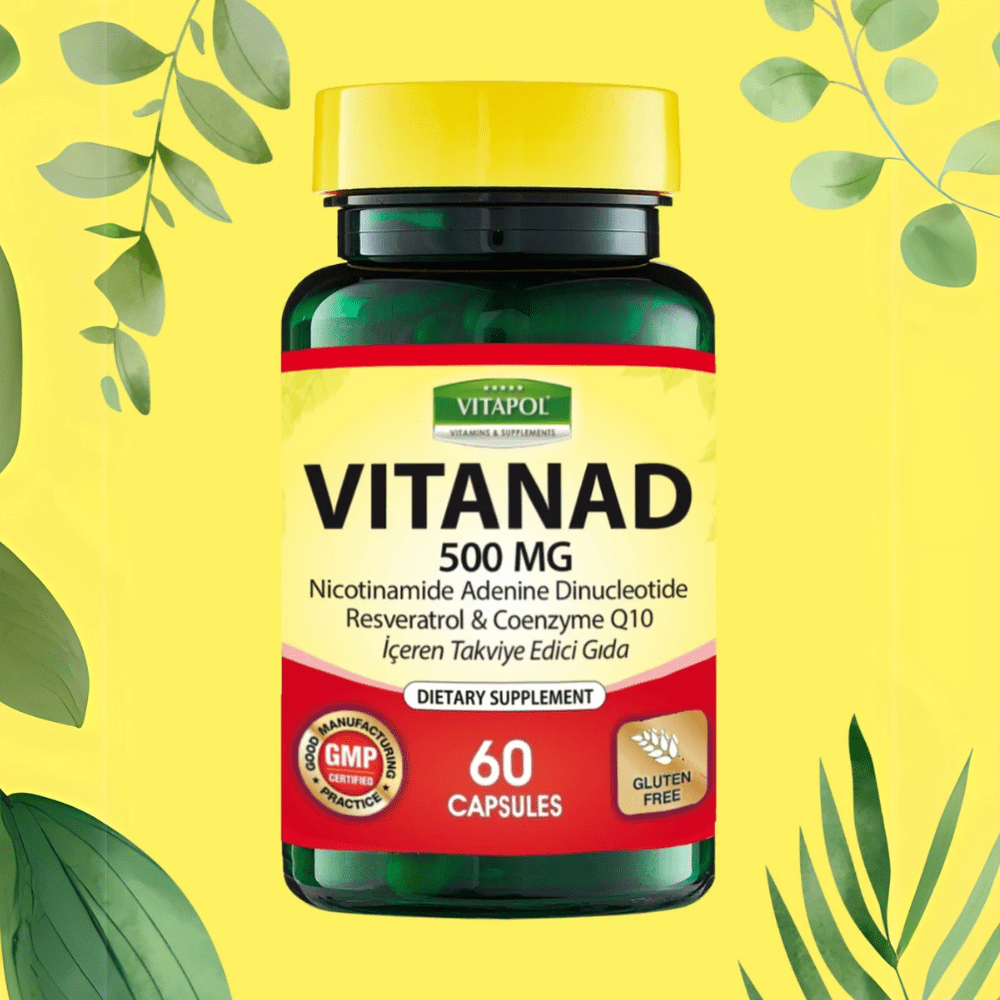 فيتابول فيتاند مكمل غذائي هام للمناعة وصحة القلب 500 ملج | 60 كبسولة