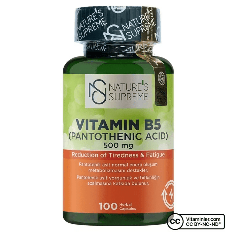 Nature's Supreme فيتامين B5 500 ملغ _ 100 كبسولة