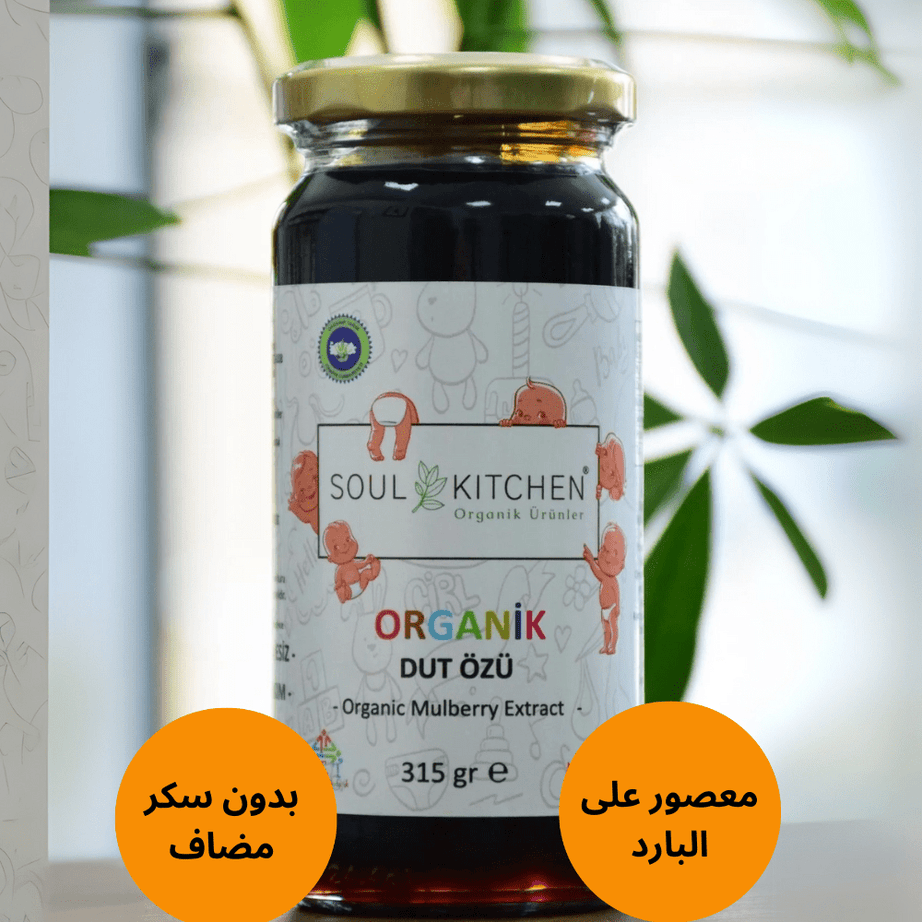 Soul Kitchen مستخلص التوت العضوي للأطفال بدون سكر 315 غرام